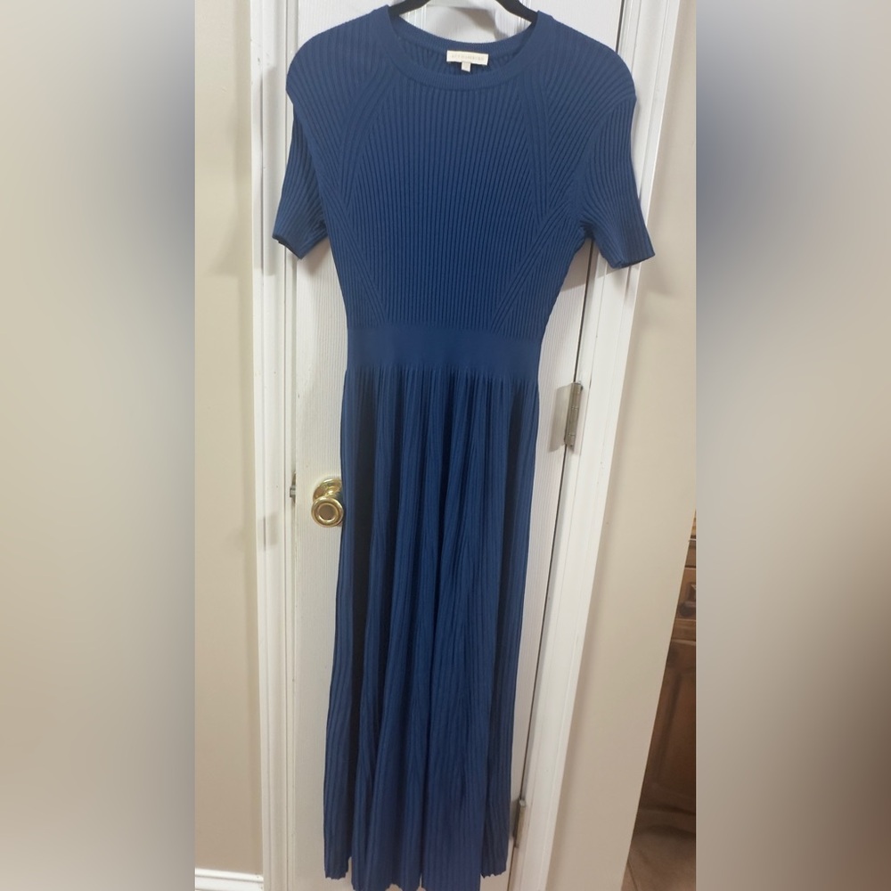 Ann Mashburn NWOT Blue Eddie shortsleeved dress (sample) sz s (mix19)